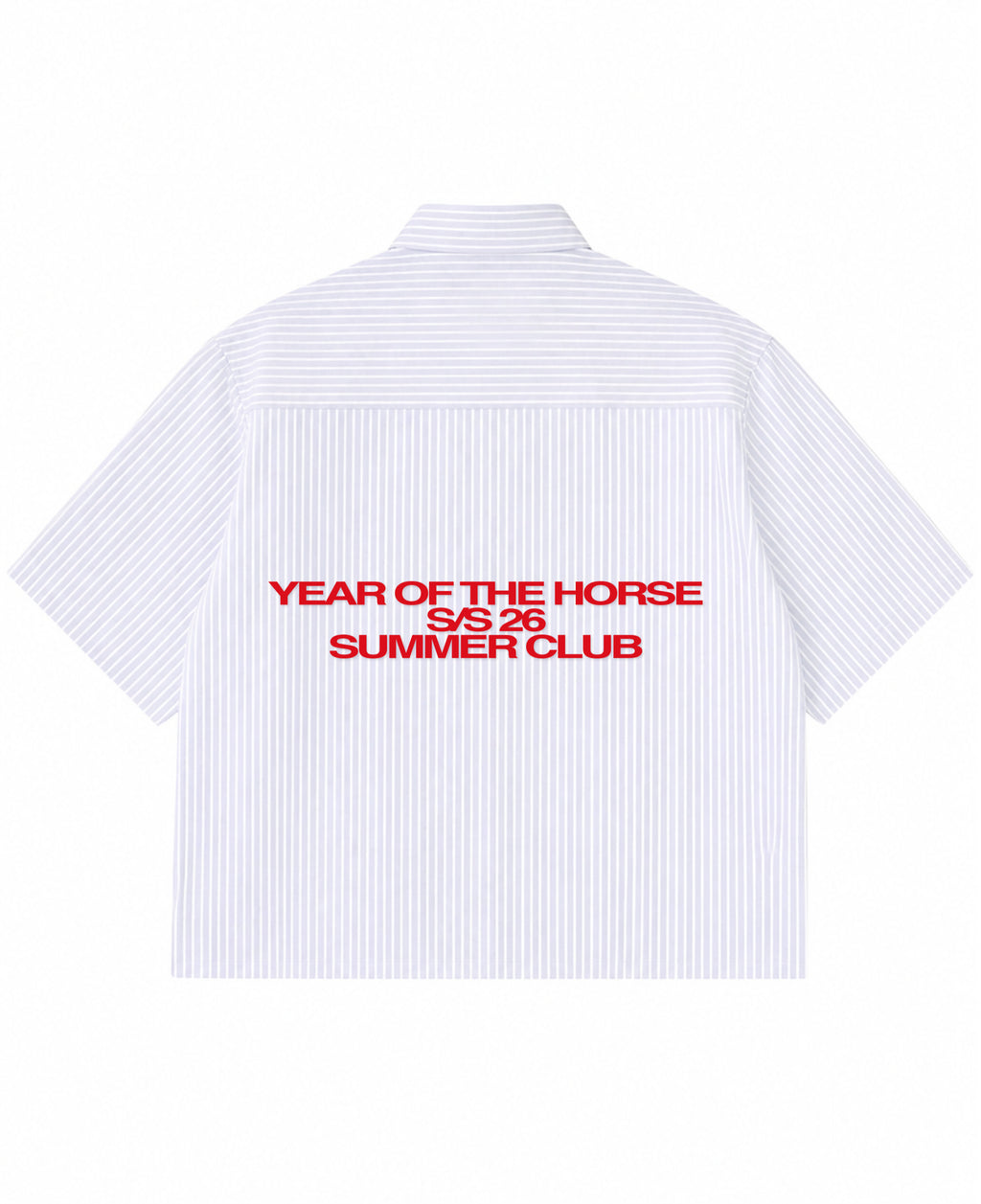 Blue Striped Oxford Boxy Shirt Back Design