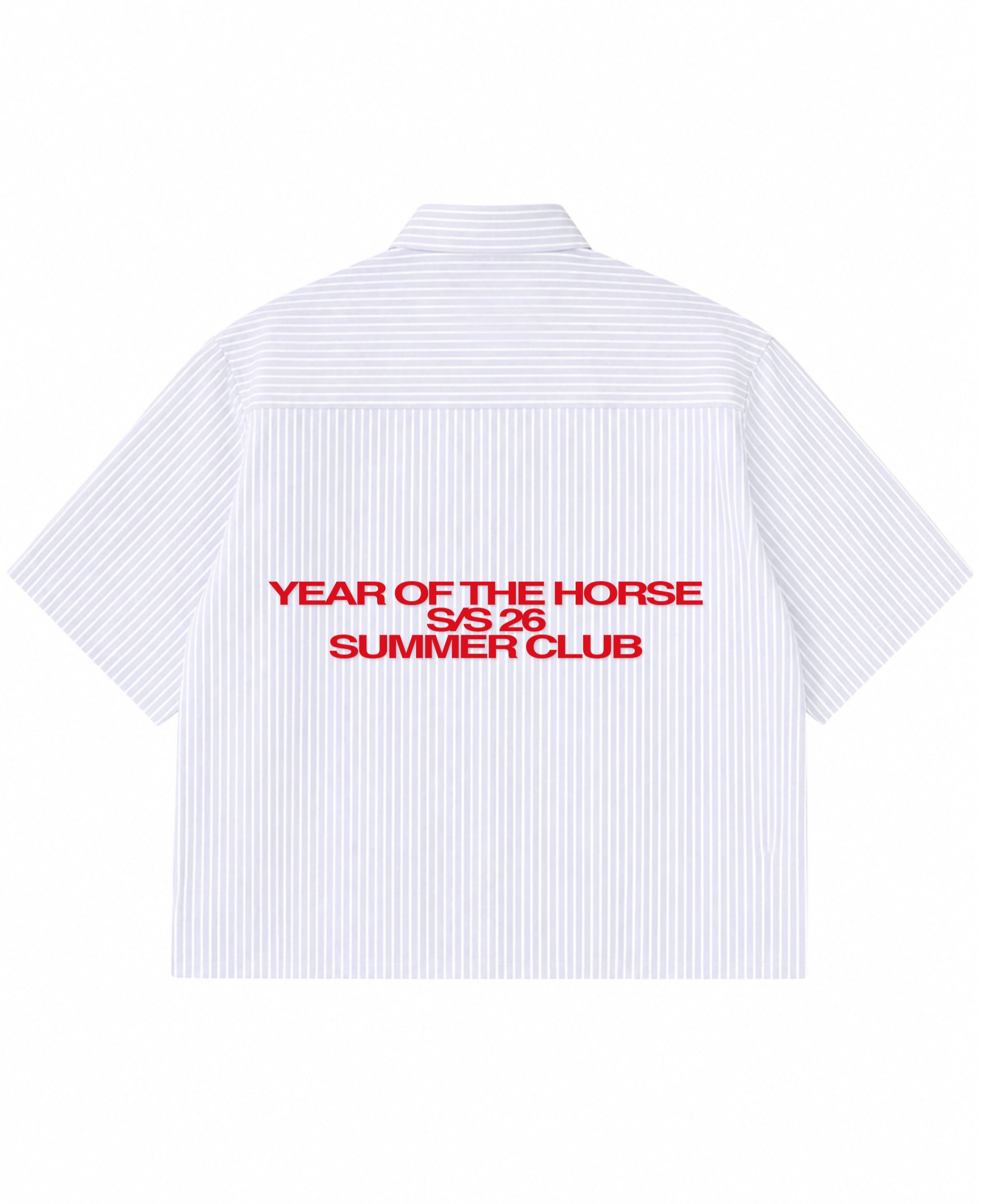 Blue Striped Oxford Boxy Shirt Back Design